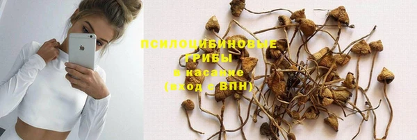 гидропоника Горнозаводск