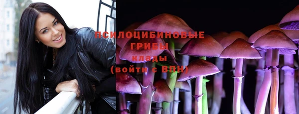 дмт Горно-Алтайск