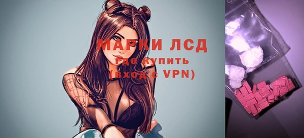 гидропоника Горнозаводск