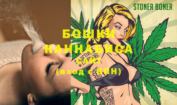 молекула духа Горняк