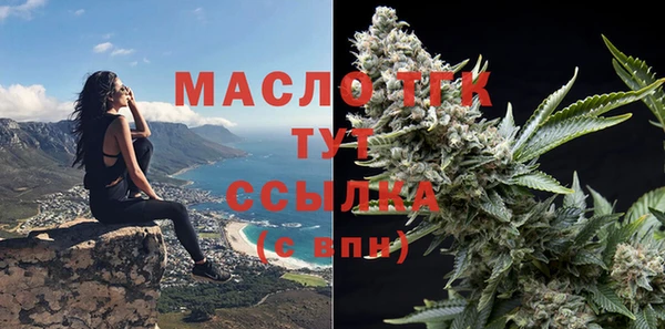 гидропоника Горнозаводск