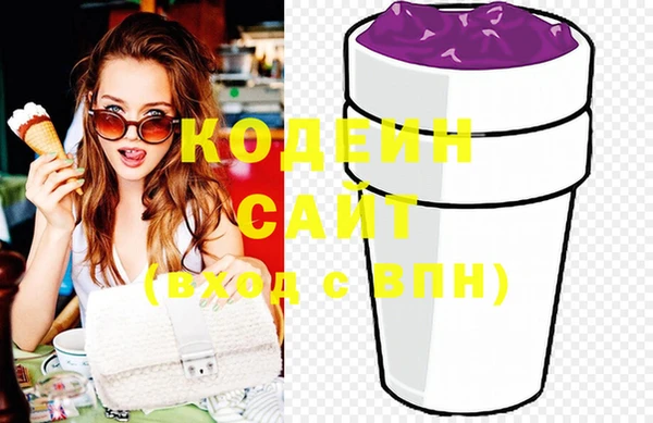 индика Вязники
