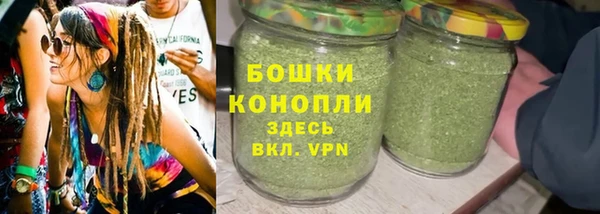 индика Вязники