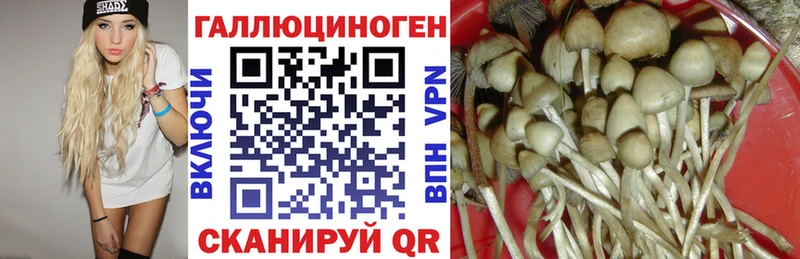 hydra как войти  Елабуга  Галлюциногенные грибы Magic Shrooms 